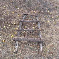 Sivas Kızılalan Köyü Resimleri 2