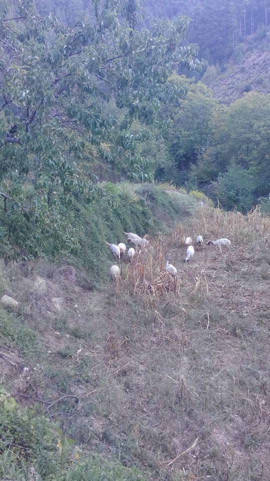 Anamur İskele  Köyü Resimleri 6