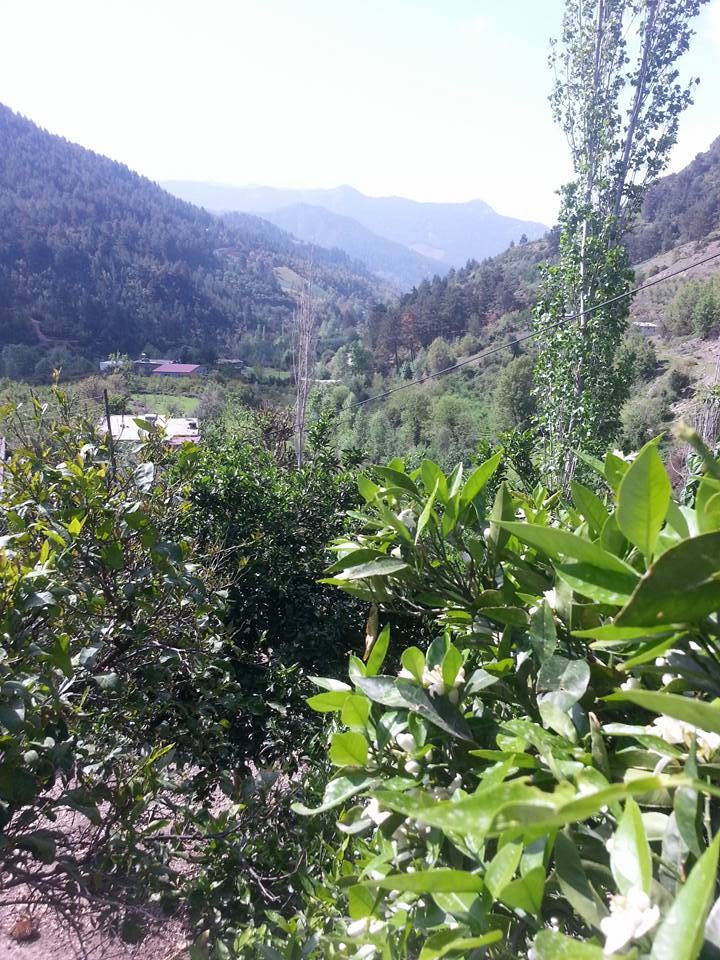 Anamur Kalınören Köyü Resimleri 2