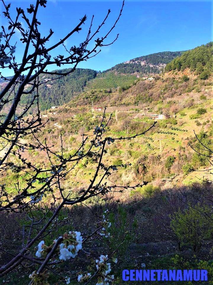 Anamur Karaağa Köyü Resimleri 14