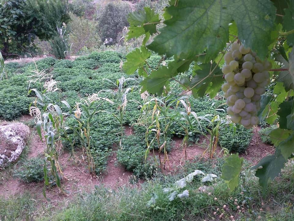 Anamur Karalarbahşiş Köyü Resimleri 13