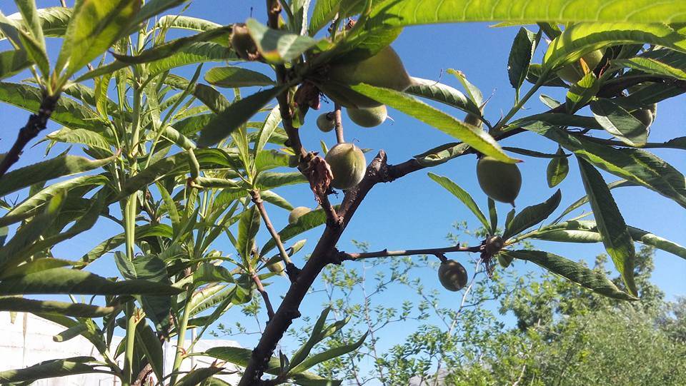 Anamur Karalarbahşiş Köyü Resimleri 9
