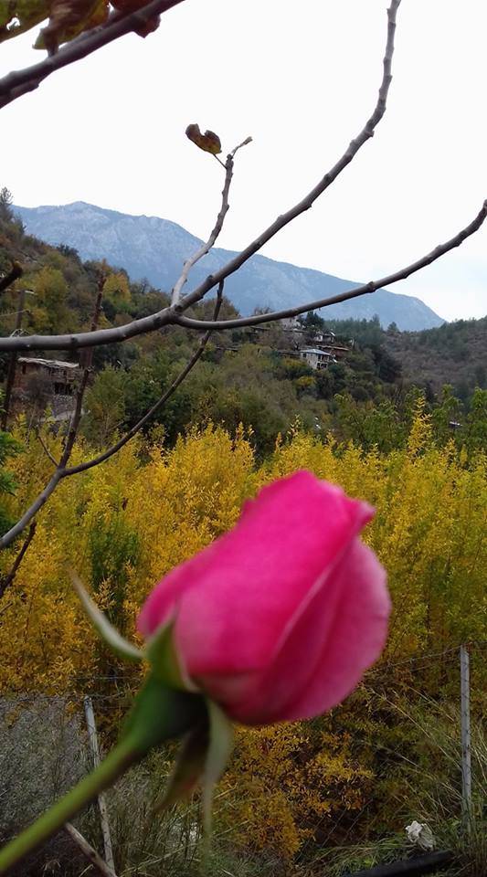 Anamur Kılıç Köyü Resimleri 11