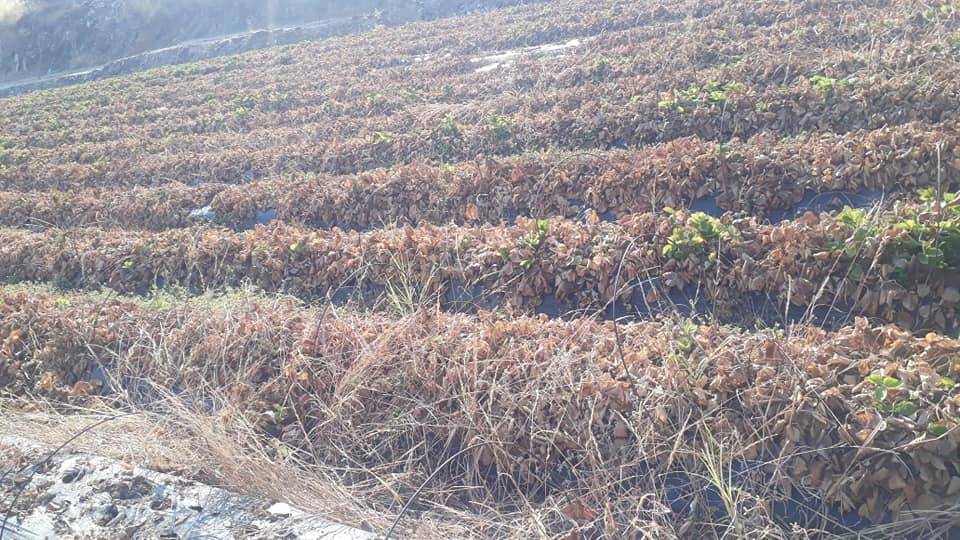 Anamur Kılıç Köyü Resimleri 12