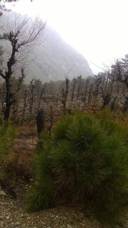 Anamur Korucuk Köyü Resimleri 10