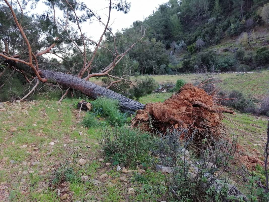 Anamur Korucuk Köyü Resimleri 15