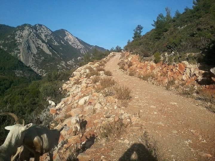 Anamur Saray Köyü Resimleri 11