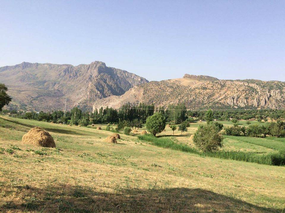 Pervari Yapraktepe Köyü Resimleri 1