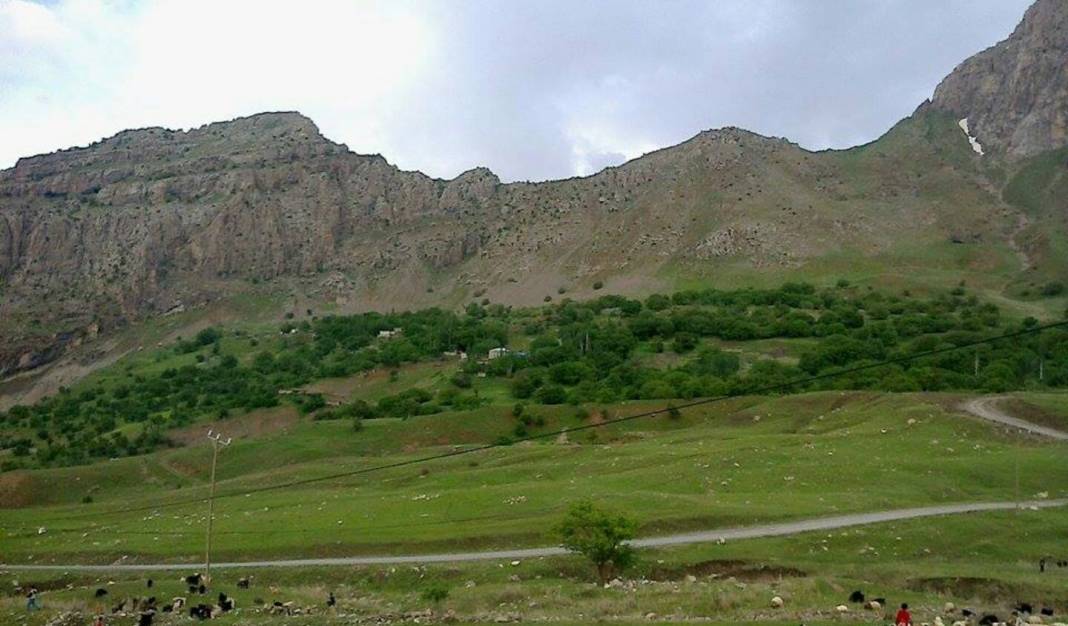 Pervari Yapraktepe Köyü Resimleri 5