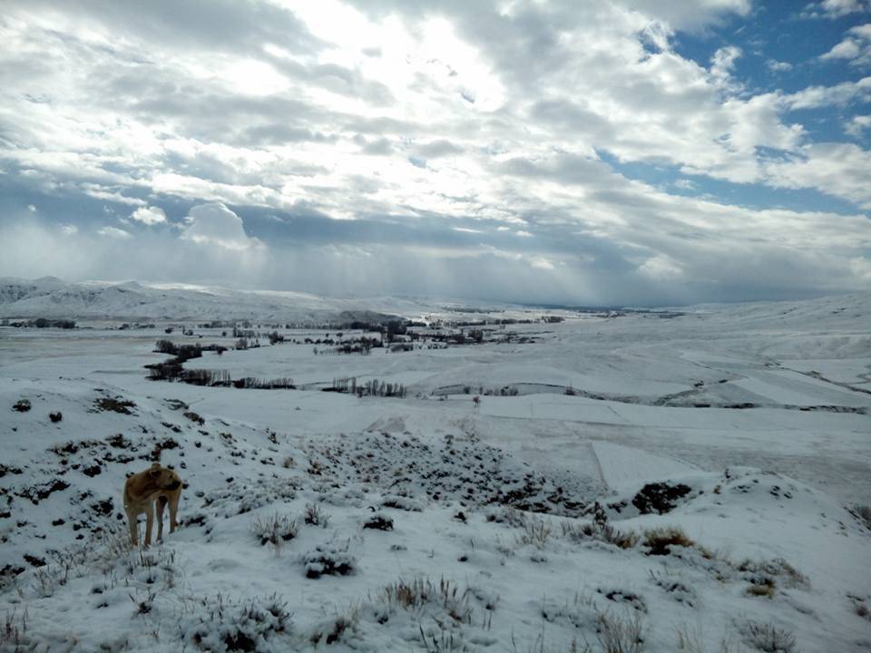 Sivas Kızılova Köyü Resimleri 10