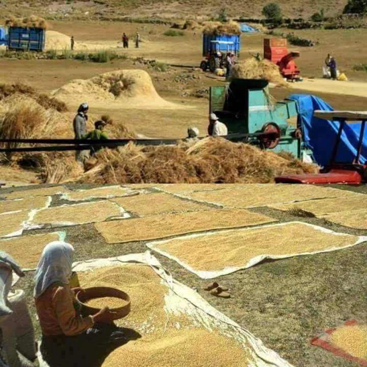 Sivas Kızılova Köyü Resimleri 9