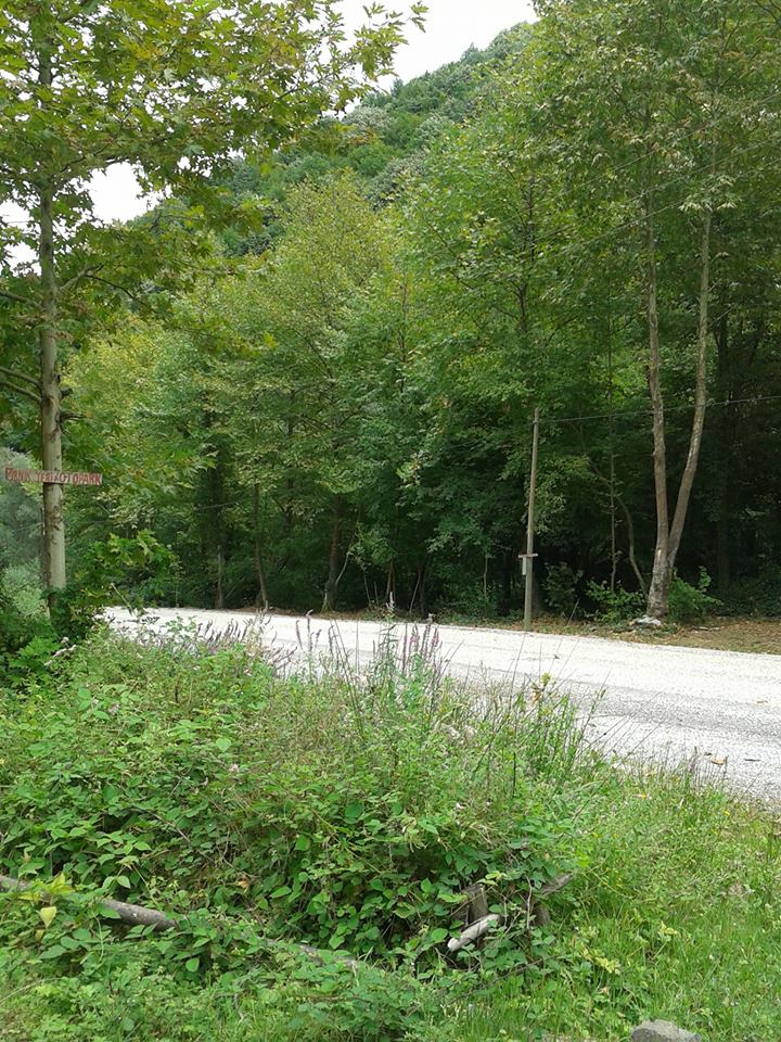 Sapanca Mahmudiye Köyü Resimleri 6