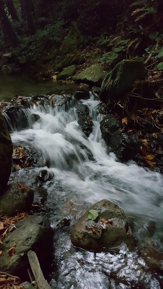 Sapanca Mahmudiye Köyü Resimleri 7
