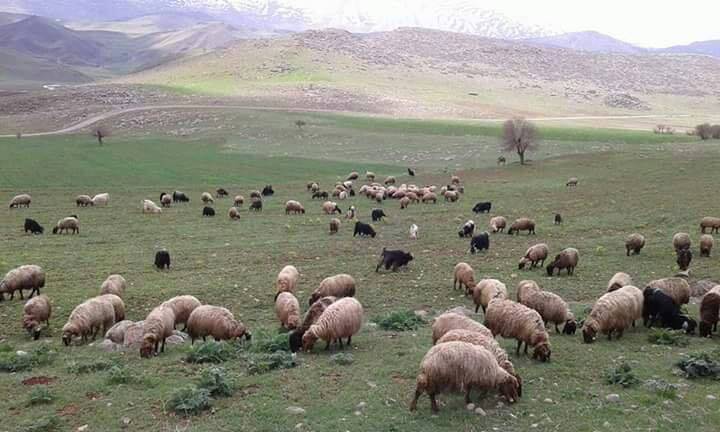 Pervari Yeniaydın Köyü Resimleri 2