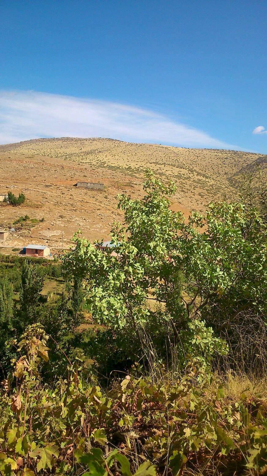 Pervari Yeniaydın Köyü Resimleri 4