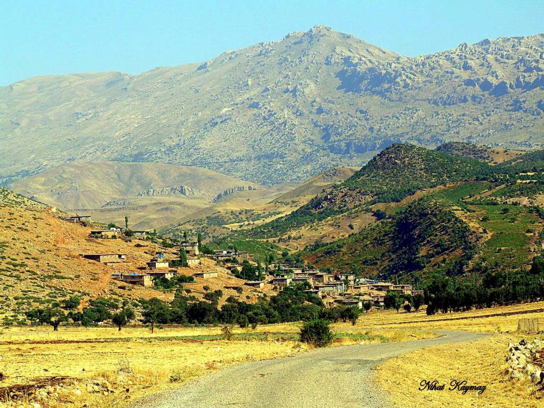 Pervari Yeniaydın Köyü Resimleri 7