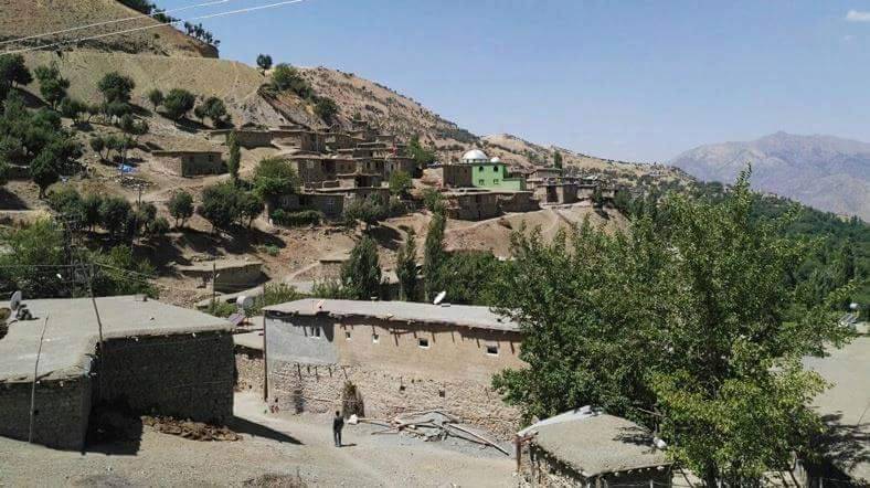 Pervari Yukarıbalcılar Köyü Resimleri 3