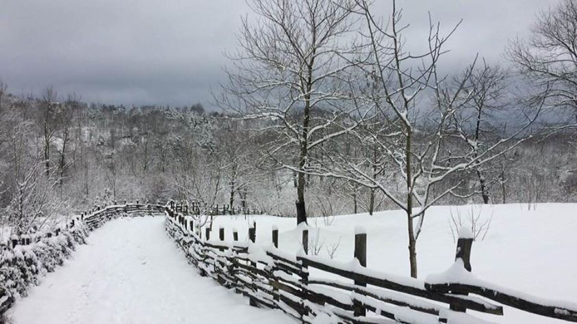 Sapanca Memnuniye Köyü Resimleri 1
