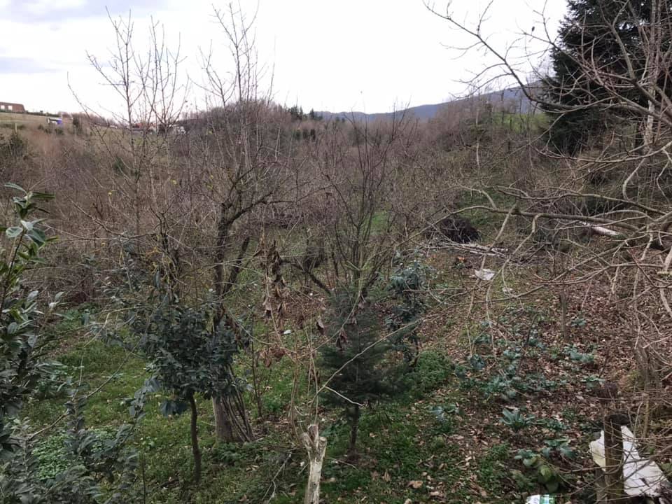 Sapanca Memnuniye Köyü Resimleri 10