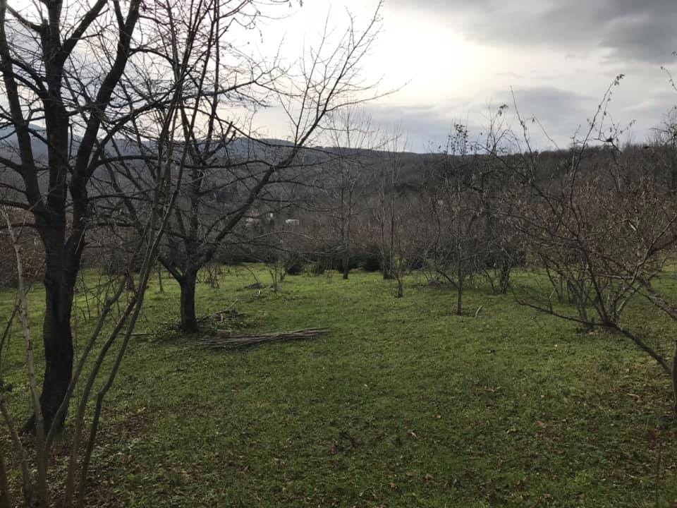 Sapanca Memnuniye Köyü Resimleri 11