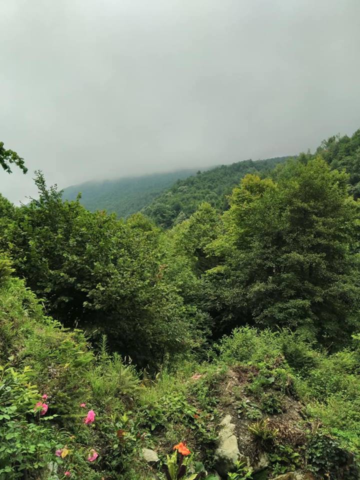 Sapanca Memnuniye Köyü Resimleri 13