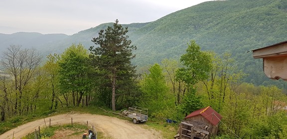 Sapanca Memnuniye Köyü Resimleri 3