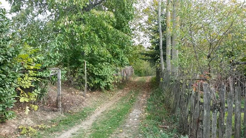 Sapanca Memnuniye Köyü Resimleri 7