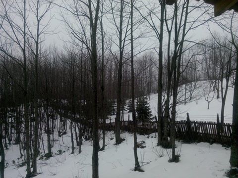 Sapanca Memnuniye Köyü Resimleri 8