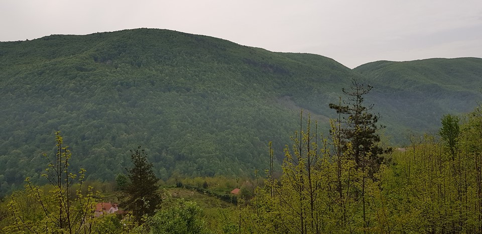 Sapanca Memnuniye Köyü Resimleri 9