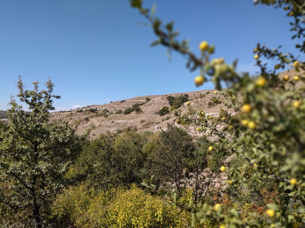 Sivas Köklüce Köyü Resimleri 12