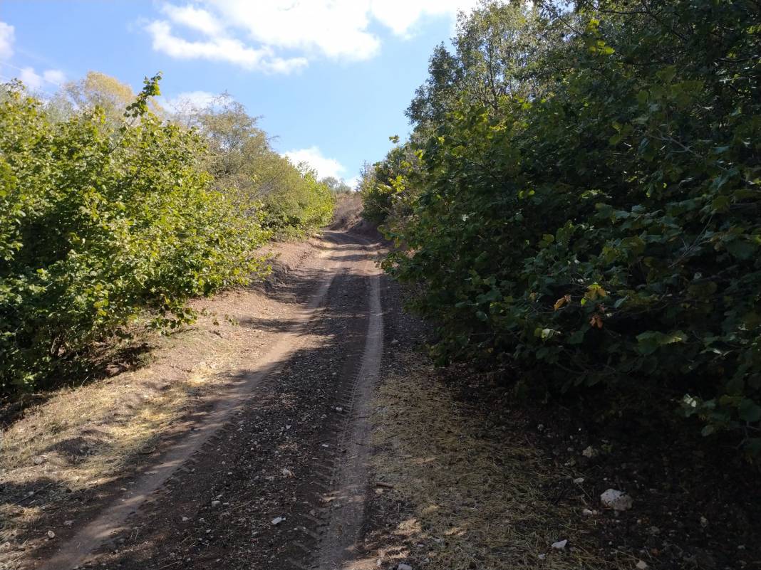 Sivas Köklüce Köyü Resimleri 15