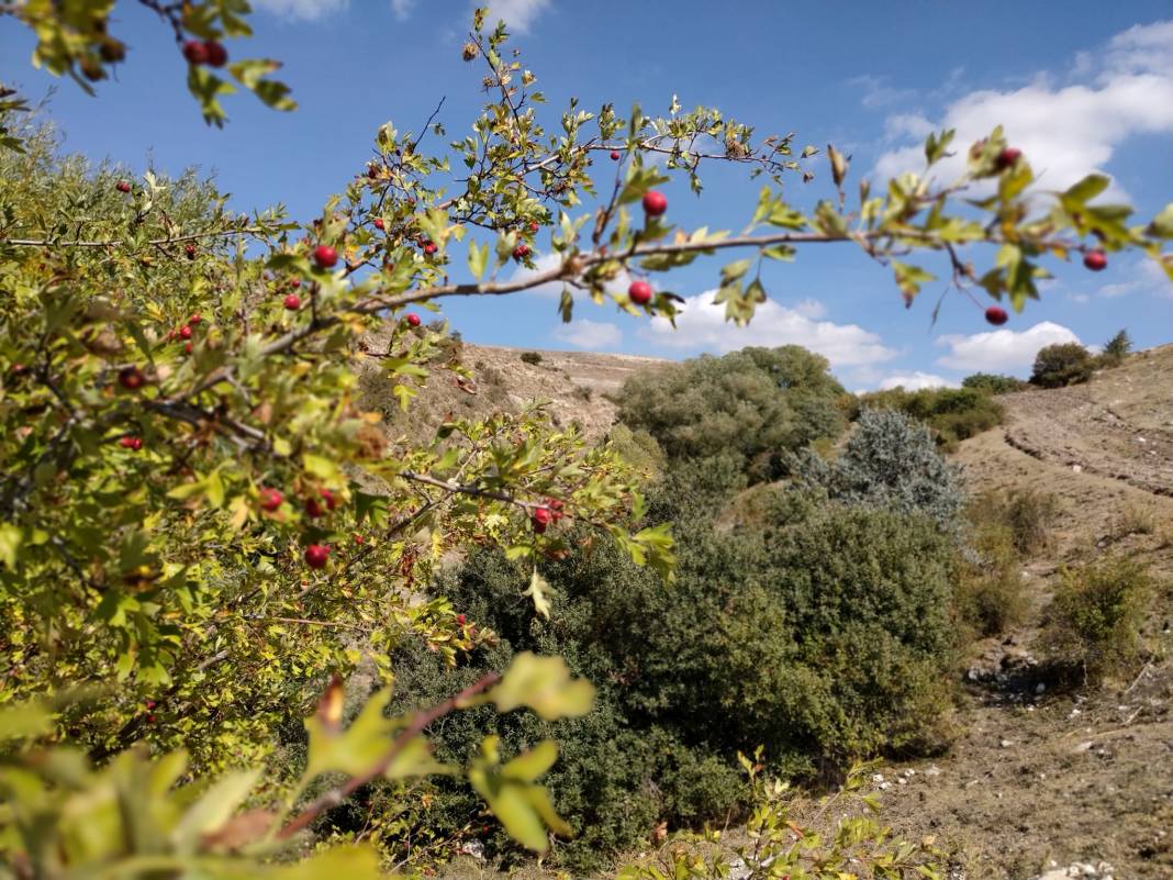 Sivas Köklüce Köyü Resimleri 7