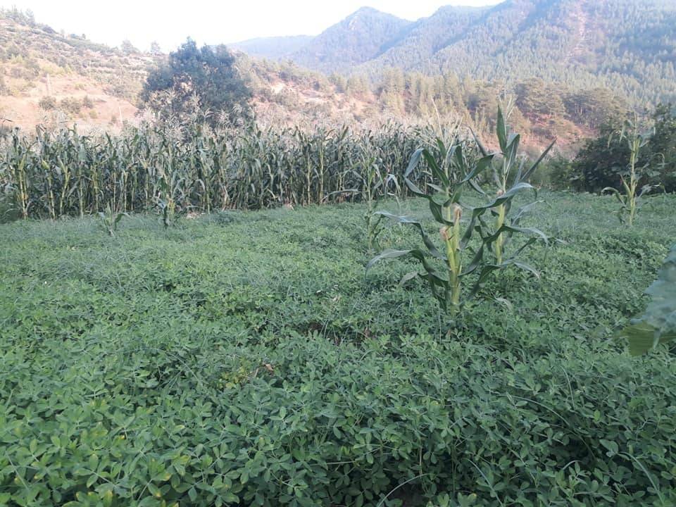 Anamur Uçarı Köyü Resimleri 9