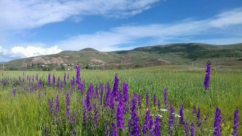 Sivas Kulyusuf Köyü Resimleri 11