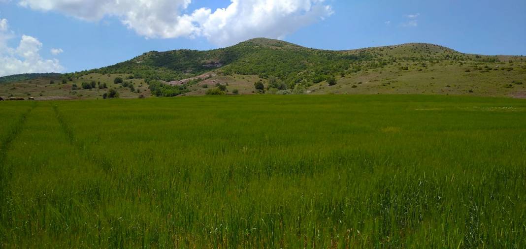 Sivas Kulyusuf Köyü Resimleri 12