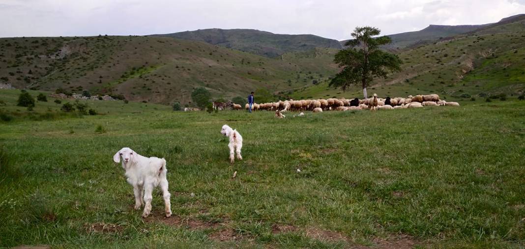 Sivas Kulyusuf Köyü Resimleri 14