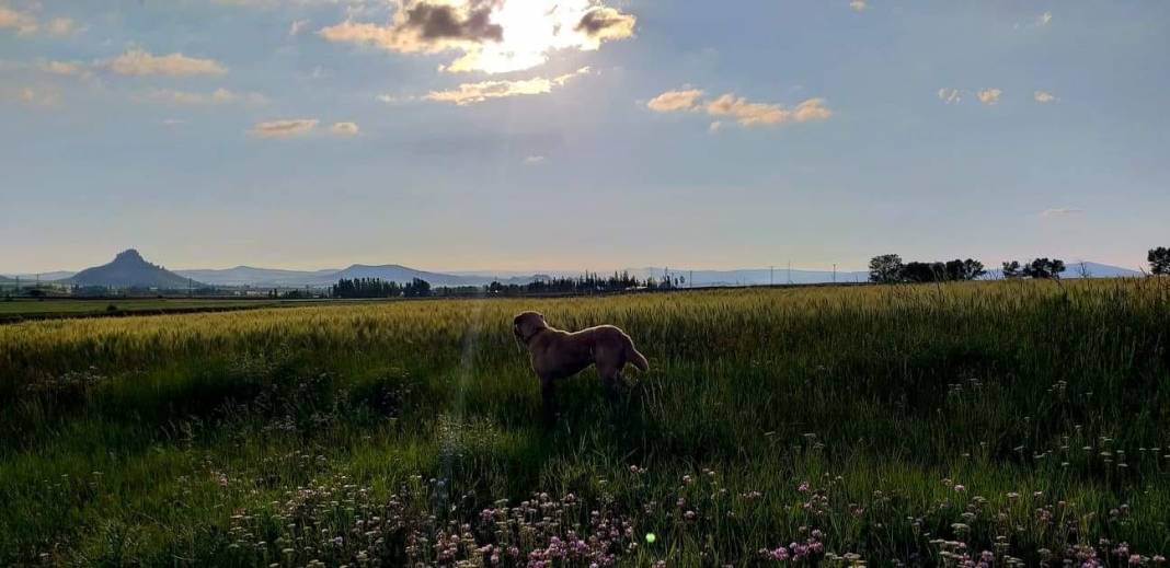 Sivas Kulyusuf Köyü Resimleri 4
