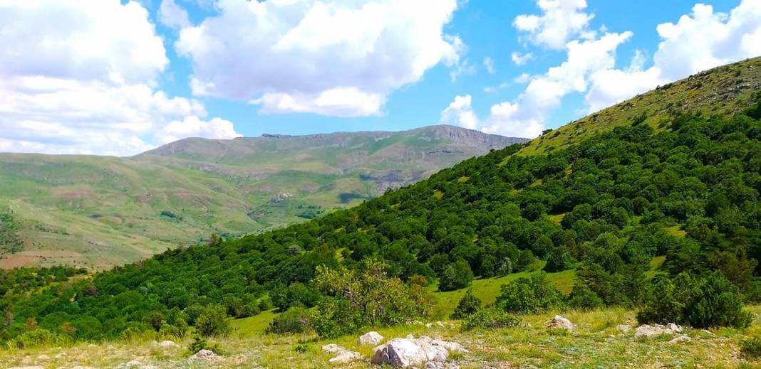 Sivas Kulyusuf Köyü Resimleri 5