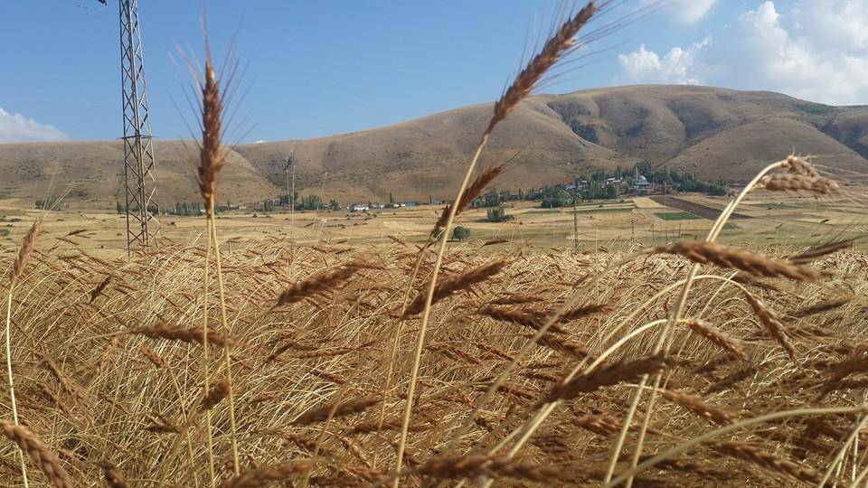 Sivas Kuzören Köyü Resimleri 5
