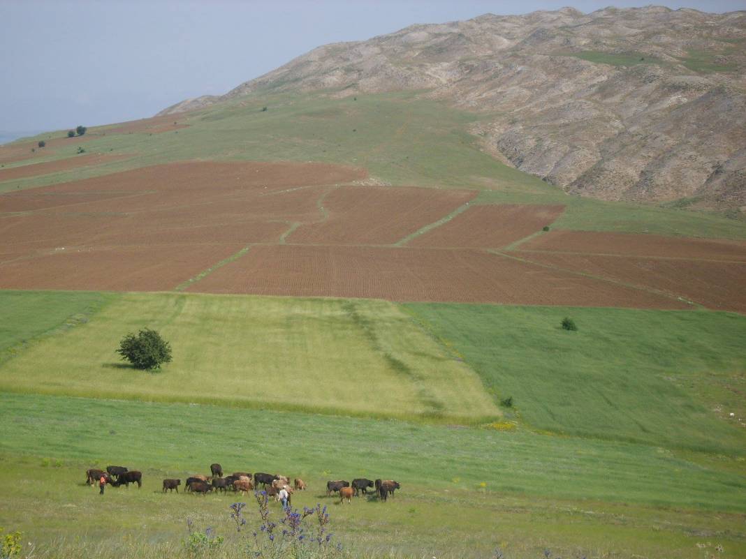Sivas Mescitli Köyü Resimleri 1