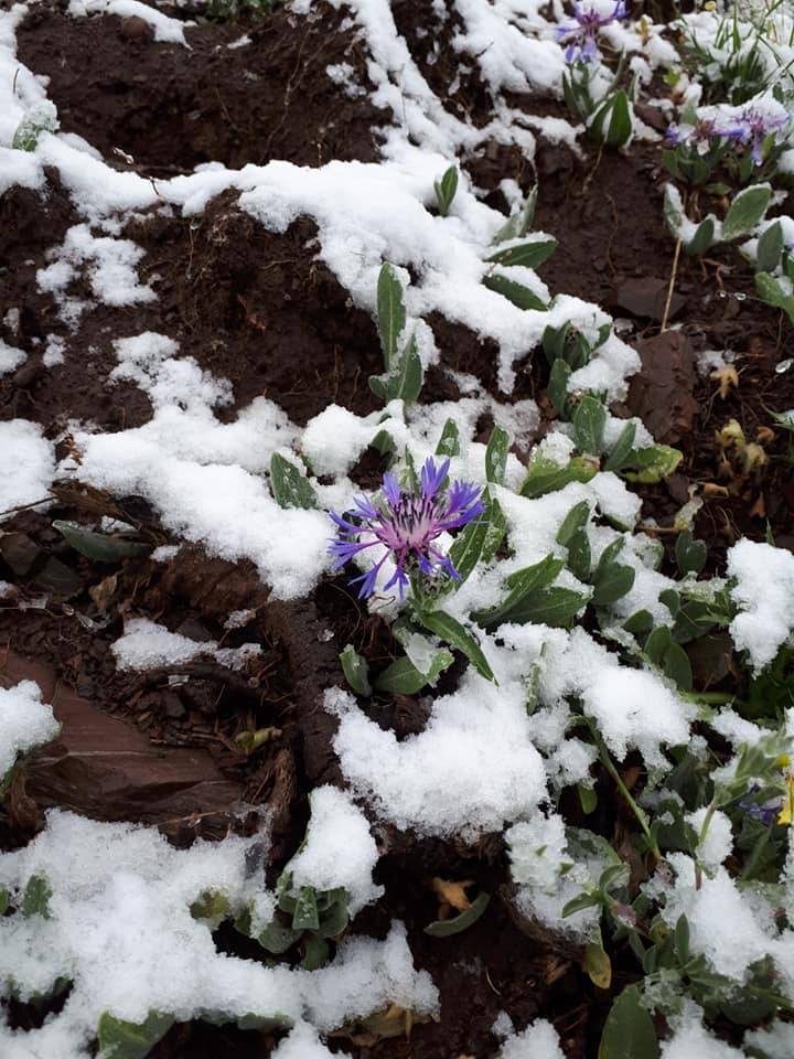Sivas Ovacık Köyü Resimleri 2