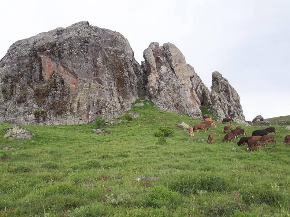 Sivas Ovacık Köyü Resimleri 4
