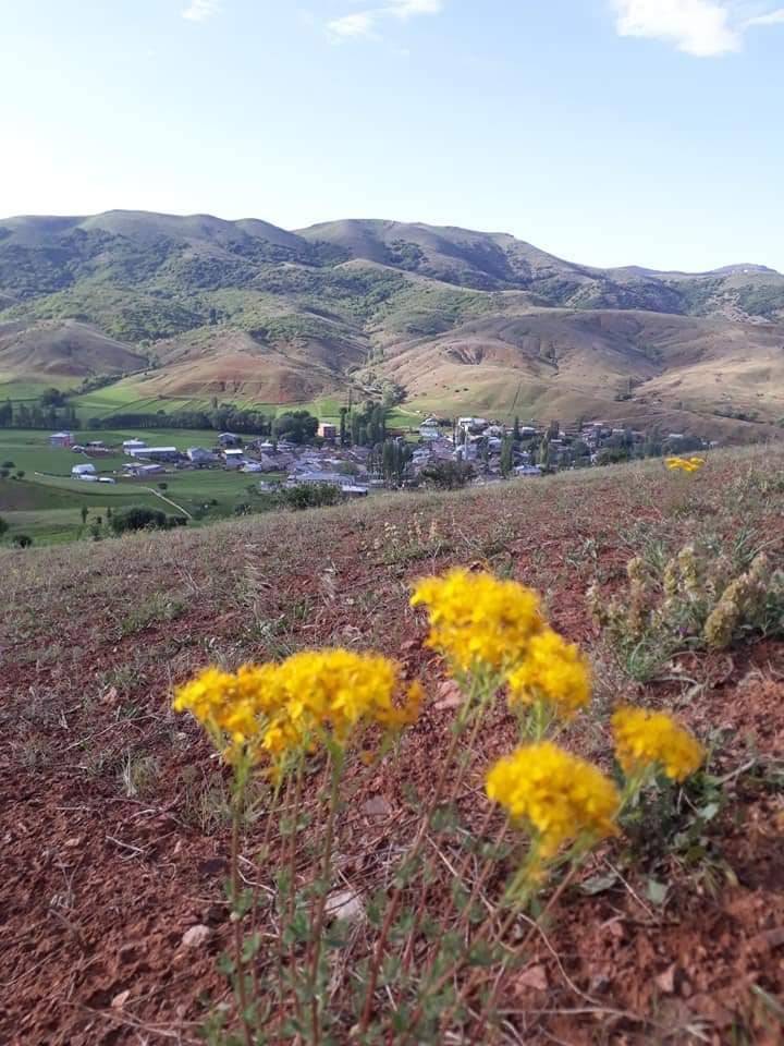 Sivas Ovacık Köyü Resimleri 5