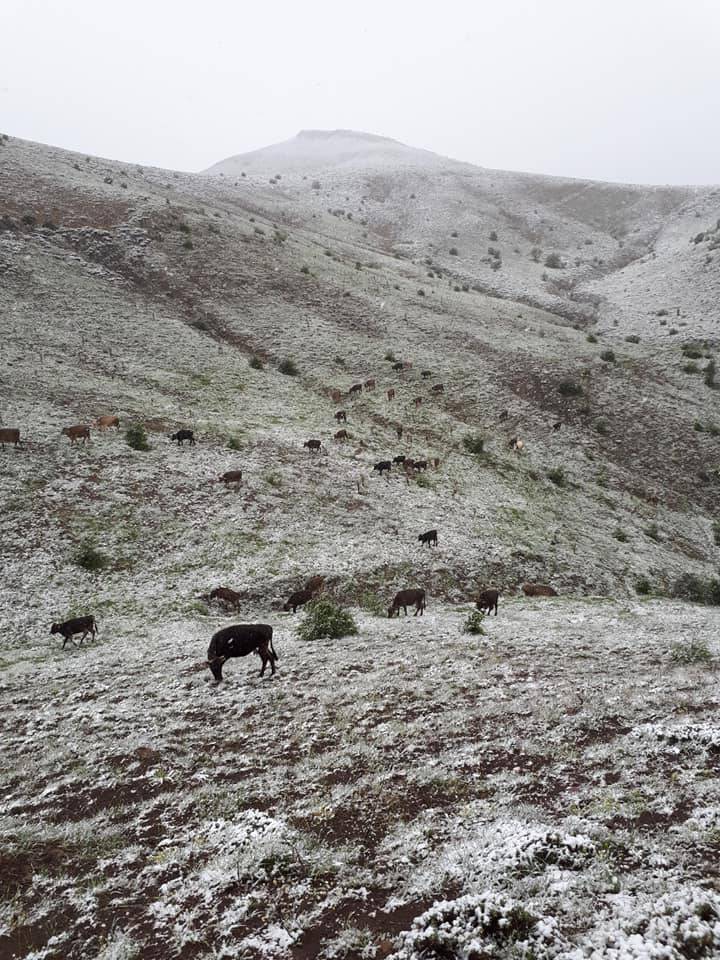 Sivas Ovacık Köyü Resimleri 7