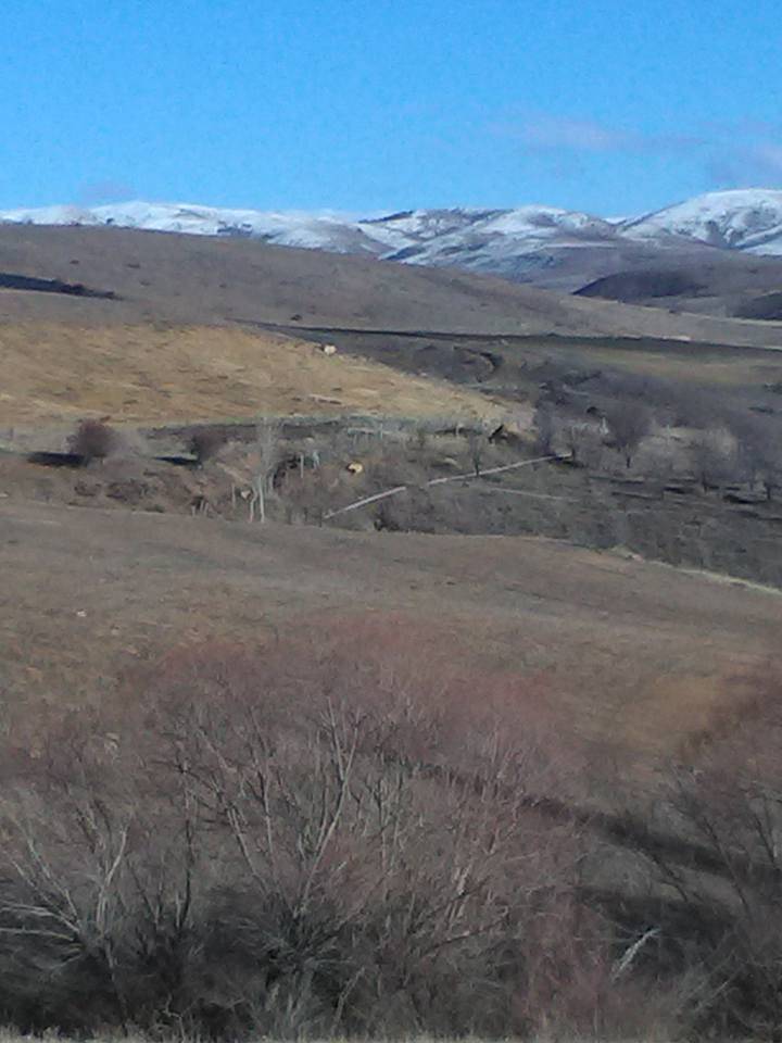 Sivas Ozmuş Köyü Resimleri 5