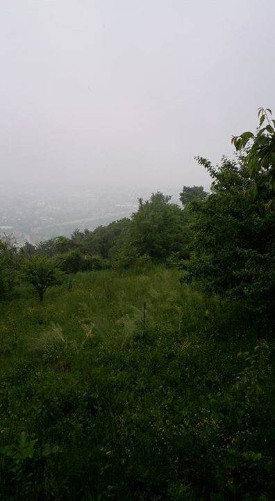 Sapanca Nailiye Köyü Resimleri 1