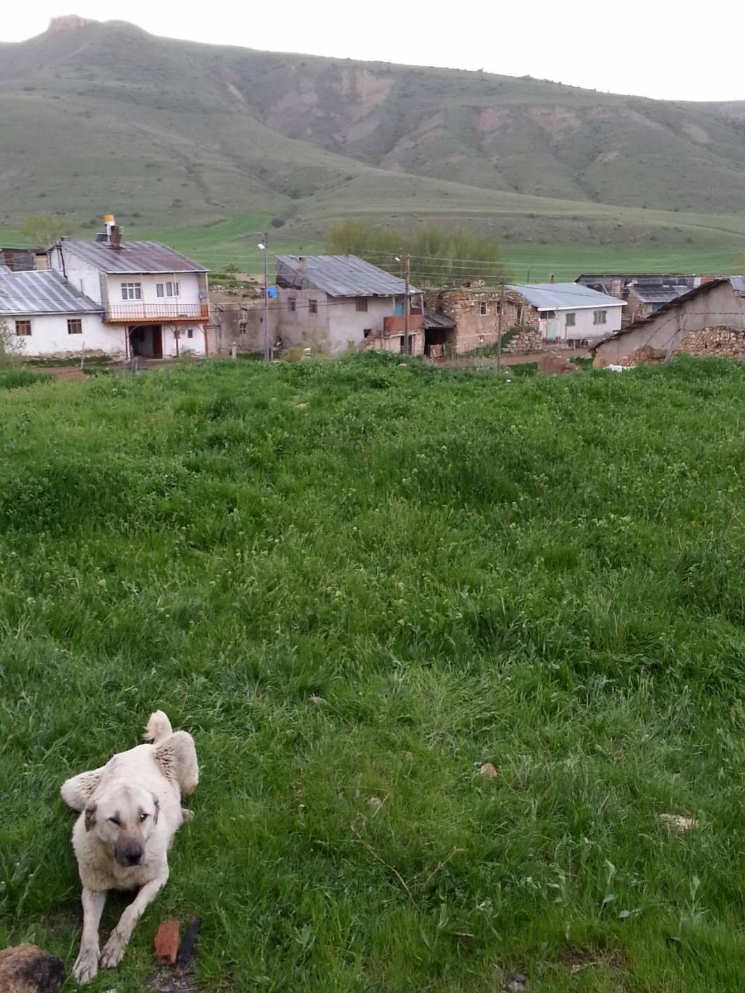 Sivas Pınarca Köyü Resimleri 1