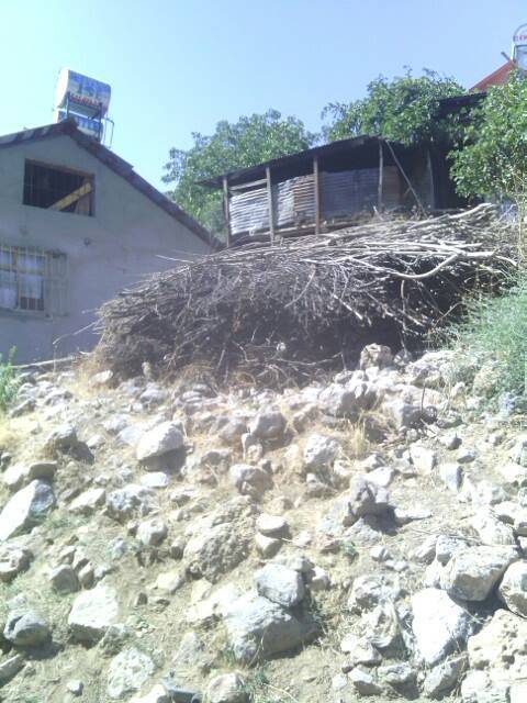 Şirvan Akgeçit Köyü Resimleri 1