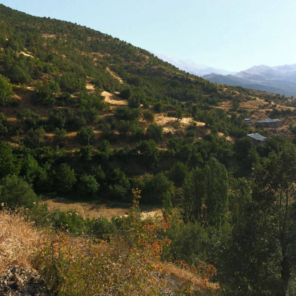 Şirvan Akyokuş Köyü Resimleri 4