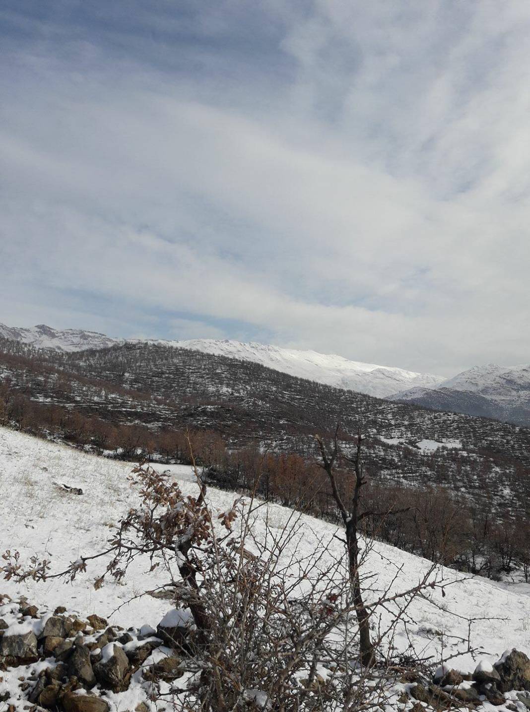 Şirvan Akyokuş Köyü Resimleri 5